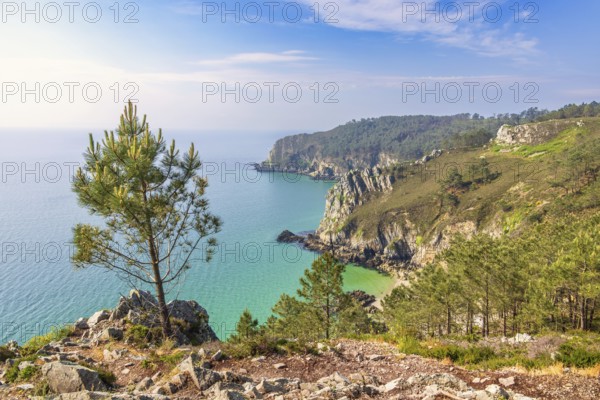 Scenics view at a rocky coastline with pine trees and a sea view to the horizon a sunny summer day by the sea, Crozon peninsula, Bretagne, France