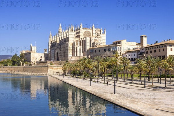View at the famous Palma Cathedral with reflections in the water a sunny summer day, Palma de Mallorca, Mallorca, Spain
