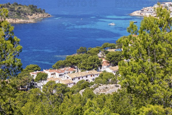 Aerial view at a coast village by the mediterranean sea with white houses by a blue sea bay and lush green trees a sunny summer day, Sant Elm, Mallorca, Spain