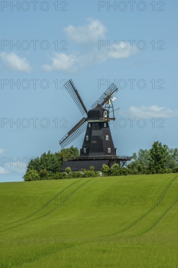 Övraby windmill, Dutch type, built in 1887 and in use until 1974. In Tomelilla municipality, Skåne county, Sweden, Scandinavia