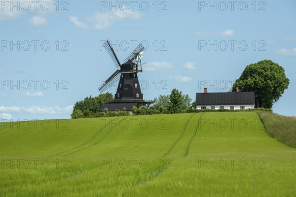 Övraby windmill, Dutch type, built in 1887 and in use until 1974. In Tomelilla municipality, Skåne county, Sweden, Scandinavia