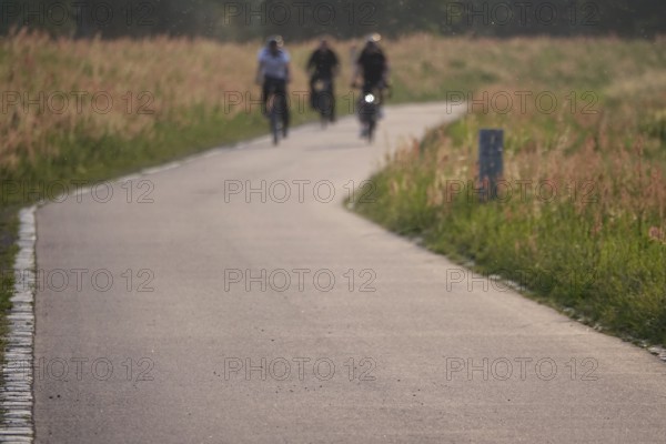 Cycle path with cyclists, summer, Germany