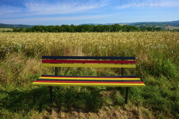 Bench in German colours in front of a golden grain field under a clear sky, summer, Germerode, Geo nature park Park Frau-Holle-Land, Hoher Meissner, Hesse, Germany