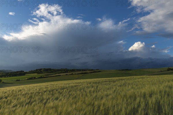 Dramatic cloudy sky with approaching storm and last rays of sunshine, Frankenhain, dark cloud wall, cumulonimbus and cumulus clouds, thunderstorm in the lift, low mountain landscape, agriculture, forest, grain field, backlight shot, municipality of Berkatal, Werra-Meissner-Kreis, Hesse, Germany