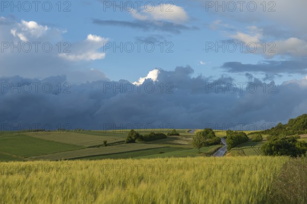 Dramatic cloudy sky with approaching storm and last rays of sunshine, Frankenhain, dark cloud wall, cumulonimbus and cumulus clouds, thunderstorm in the lift, low mountain landscape, agriculture, forest, grain field, backlight shot, country road, municipality of Berkatal, Werra-Meissner-Kreis, Hesse, Germany