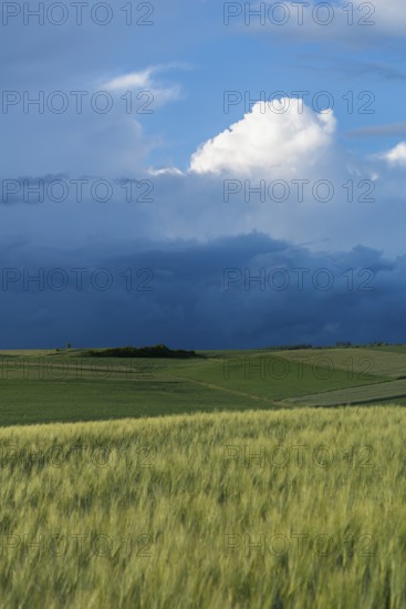 Dramatic cloudy sky with approaching storm and last rays of sunshine, Frankenhain, dark cloud wall, cumulonimbus and cumulus clouds, thunderstorm in the lift, low mountain landscape, agriculture, forest, grain field, backlight shot, municipality of Berkatal, Werra-Meissner-Kreis, Hesse, Germany