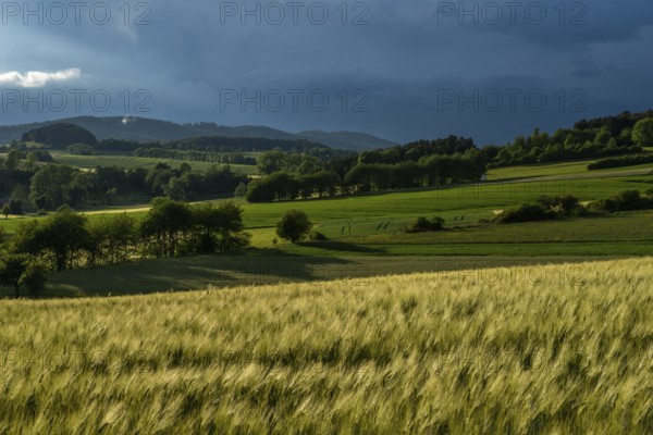 Dramatic cloudy sky with approaching storm and last rays of sunshine, Frankenhain, dark cloud wall, thunderstorm in the lift, low mountain landscape, agriculture, forest, grain field, backlight shot, municipality of Berkatal, Werra-Meissner-Kreis, Hesse, Germany