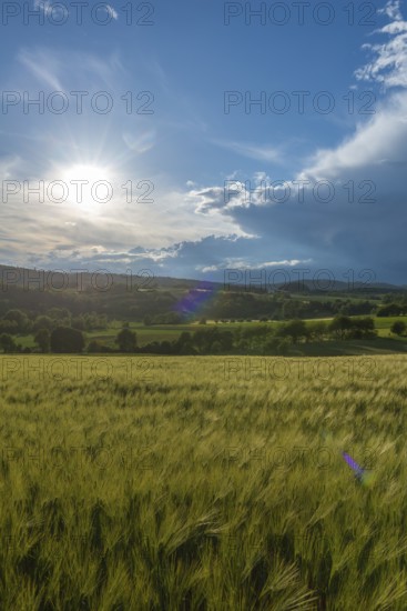 Dramatic cloudy sky with approaching storm and last sunbeams, Frankenhain, dark cloud wall, cumulus clouds, sunbeams, thunderstorm in lift, low mountain landscape, agriculture, forest, grain field, backlight shot, municipality of Berkatal, Werra-Meissner-Kreis, Hesse, Germany