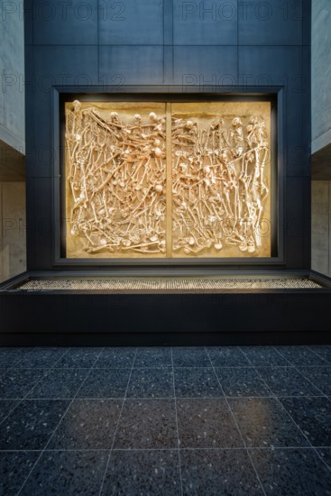 Mass grave with the bones of 47 fallen soldiers, interior photo, Museum Lützen 1632 in memory of the Battle of Lützen and the death of the Swedish King Gustav II Adolf in the Thirty Years' War from 1618 to 1648, Lützen, Saxony-Anhalt, Germany