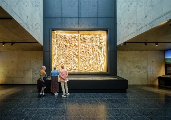 Mass grave with the bones of 47 fallen soldiers, interior photo, Museum Lützen 1632 in memory of the Battle of Lützen and the death of the Swedish King Gustav II Adolf in the Thirty Years' War from 1618 to 1648, Lützen, Saxony-Anhalt, Germany