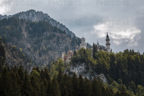The imposing Neuschwanstein Castle sits majestically on a wooded mountain under a cloudy sky, Schwangau, Bavaria
