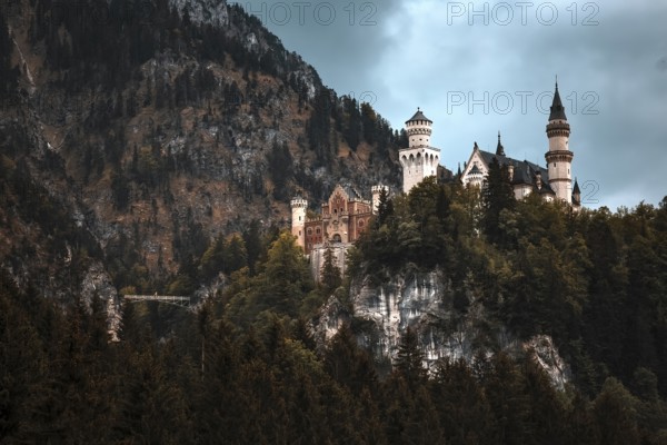 The fairytale Neuschwanstein Castle on a wooded hill against a mountain backdrop, Schwangau, Bavaria
