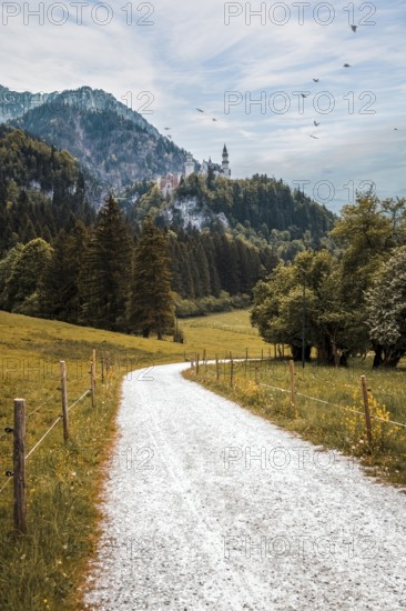 A pebbled path leads through a wooded landscape to Neuschwanstein Castle on a hill, Schwangau, Bavaria