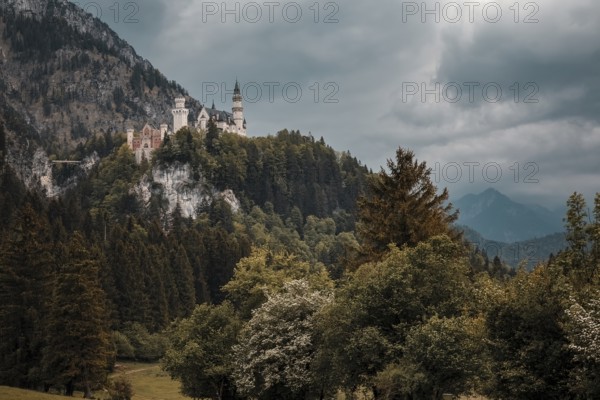 Neuschwanstein Castle towers over a wooded landscape under a dramatic sky, Schwangau, Bavaria