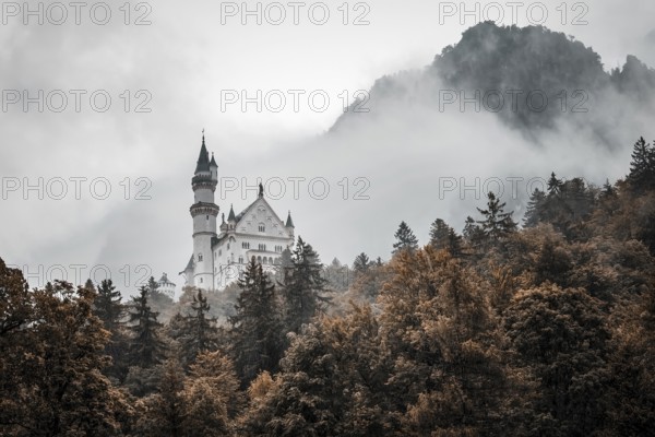 The romantic Neuschwanstein Castle in the middle of a misty, autumnal forest, Schwangau, Bavaria