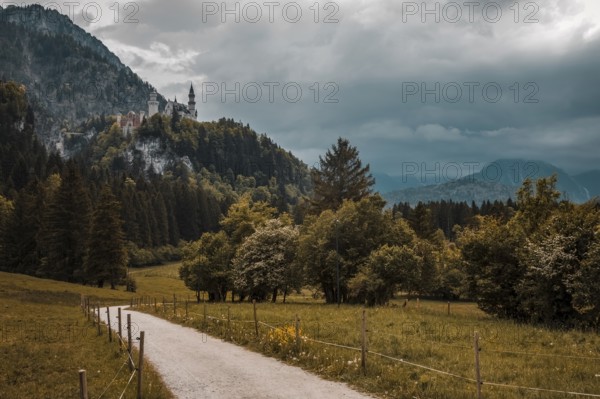 A path leads through a forest to Neuschwanstein Castle on a mountain under a dramatic sky, Schwangau, Bavaria