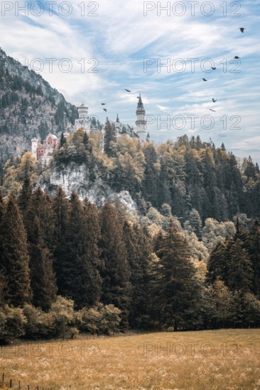 The fairytale Neuschwanstein Castle on a wooded hill, surrounded by flying birds and a clear sky, Schwangau, Bavaria