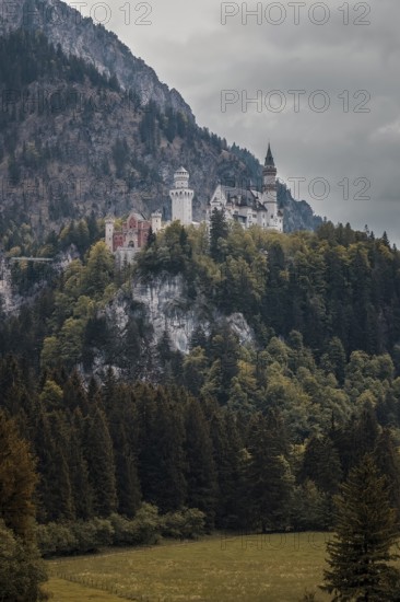 The majestic Neuschwanstein Castle rises above a dense forest on a mountain under a cloudy sky, Schwangau, Bavaria