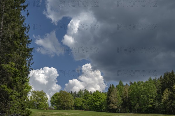 Landscape with heap and rain clouds, Bavarian Forest, Bavaria, Germany