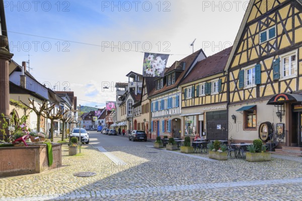 Historic half-timbered houses on Dielenmarktstraße in Endingen am Kaiserstuhl, Baden-Württemberg, Germany