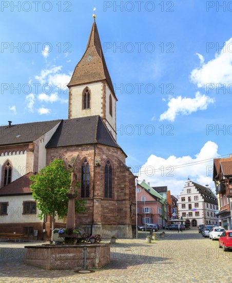 Market square with St Martin's pilgrimage church and St Mary's fountain, in the background the town hall with its striking stepped gable, Endingen am Kaiserstuhl, Baden-Württemberg, Germany