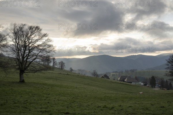 View from Schauinsland to the east with the mountains of the Black Forest in the morning, Oberried, Black Forest, Baden-Württemberg, Germany