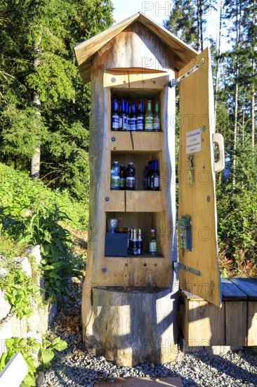 Tree trunk as a cupboard filled with drinks bottles at the Bollenbacher Bierbänkle, Haslach im Kinzigtal, Black Forest, Baden-Württemberg, Germany