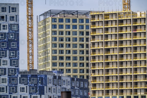 Construction of over 920 student flats at Cambridgelaan in the Science Park, University of Utrecht, High Five building, modular construction, all components, including the interior fittings with wet rooms, are prefabricated and assembled just in time on site, 20% cost savings and 50% shorter construction time, on the left the already completed Johanna hall of residence, with facade in tiled design, with over 650 student rooms, flats, Netherlands