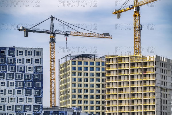 Construction of over 920 student flats at Cambridgelaan in the Science Park, University of Utrecht, High Five building, modular construction, all components, including the interior fittings with wet rooms, are prefabricated and assembled just in time on site, 20% cost savings and 50% shorter construction time, on the left the already completed Johanna hall of residence, with facade in tiled design, with over 650 student rooms, flats, Netherlands