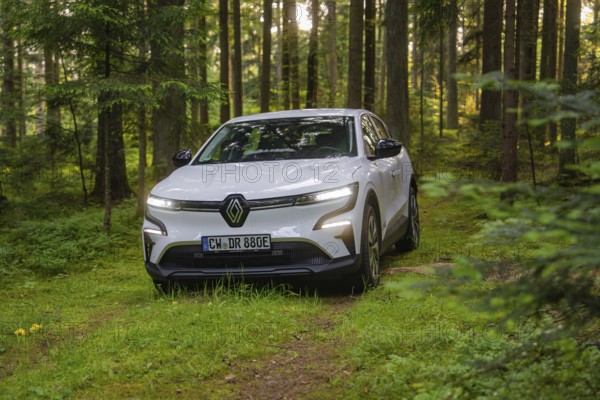 White car driving through a dense forest in daylight, surrounded by large trees, Renault Megane, Deer E Carsharing, electric car, Calw, Black Forest, Germany