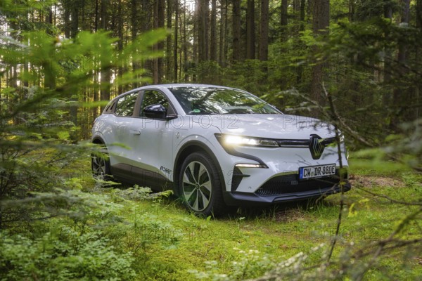 A white car is parked in a green summer forest, surrounded by dense plants, Renault Megane, Deer E Carsharing, electric car, Calw, Black Forest, Germany