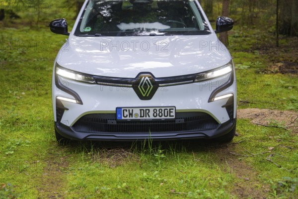 Close-up of a white car on a green forest floor in a shady forest, Renault Megane, Deer E Carsharing, electric car, Calw, Black Forest, Germany
