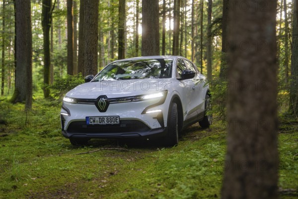 White car in the penetrating sunlight in a lush green forest, Renault Megane, Deer E Carsharing, electric car, Calw, Black Forest, Germany