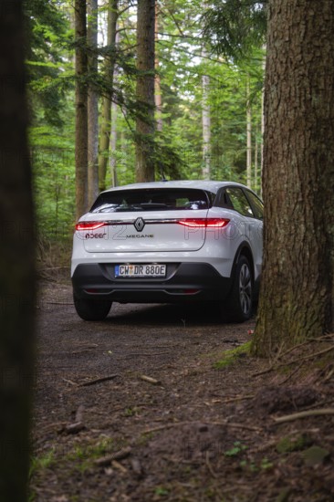 Rear view of a white car between trees in a dense forest on a forest path, Renault Megane, Deer E Carsharing, electric car, Calw, Black Forest, Germany