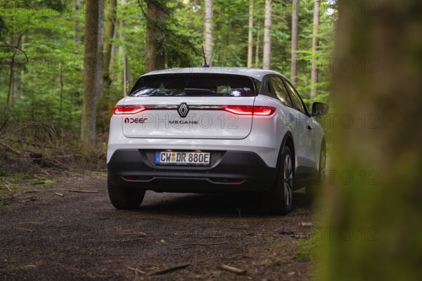 White car from behind on a forest floor surrounded by lush greenery and trees, Renault Megane, Deer E Carsharing, electric car, Calw, Black Forest, Germany