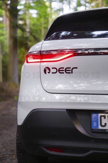 Close-up of a tail light with forest in the background, Renault Megane, Deer E Carsharing, electric car, Calw, Black Forest, Germany