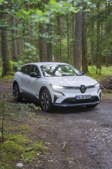 A white car in the forest on a forest path, surrounded by tall trees and natural atmosphere, Renault Megane, Deer E- Carsharing, electric car, Gechingen, Germany