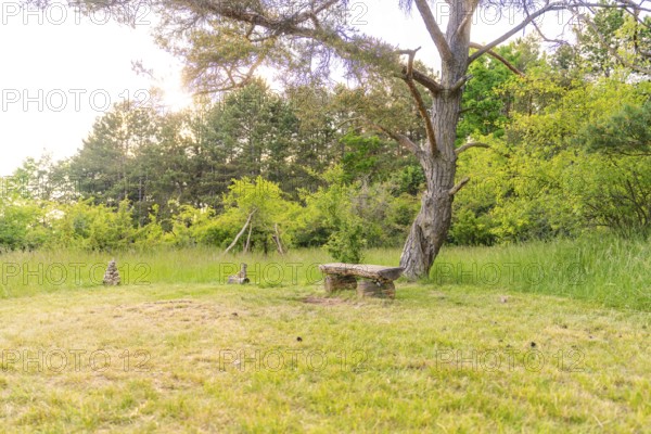 A wooden bench stands in a meadow, surrounded by trees, Gechingen, Hecken and Gäu region, Calw district, Germany
