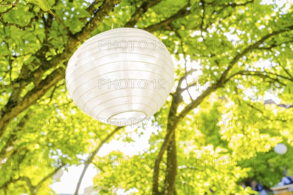 Large white lantern hanging from a tree in the sunny garden, event and wedding location Kloster Lorch, Lorch, Germany