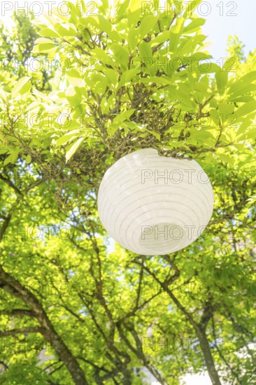 White paper lantern shines through green leaves in the summer sun, event and wedding location Lorch Monastery, Lorch, Germany