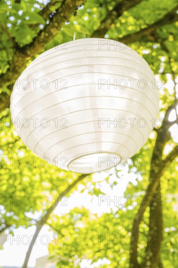 White paper lantern hanging from a tree against a sunny sky, event and wedding location Kloster Lorch, Lorch, Germany