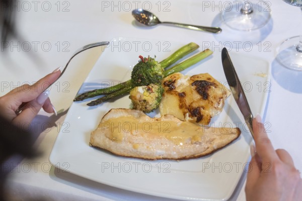 An elegant plate with fish, asparagus and broccoli on a laid table, event and wedding location Kloster Lorch, Lorch, Germany