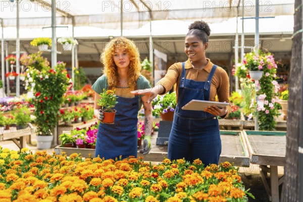 Two young women working in a garden center using digital tablet and discussing in a greenhouse