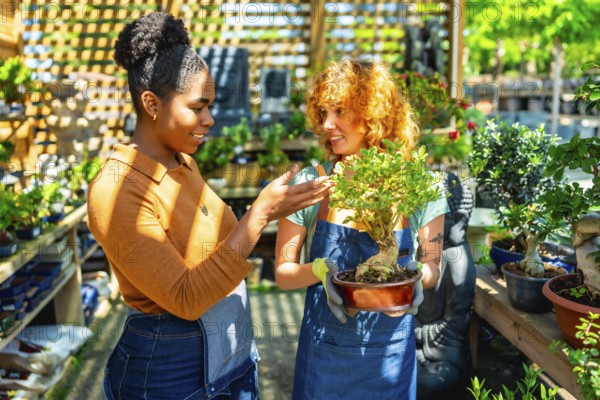 Gardener holding a bonsai and talking about it with a customer in a plant nursery on a sunny day