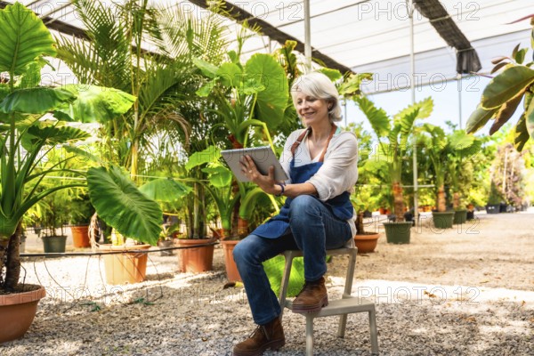 Senior woman working in plant nursery using digital tablet, managing plants and inventory in a greenhouse
