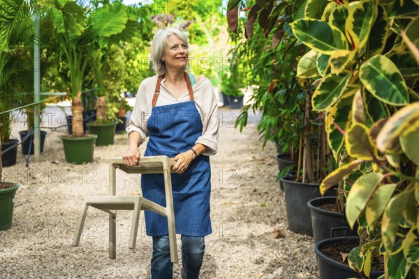 Senior woman gardener carrying a chair in a greenhouse full of plants, smiling and looking away