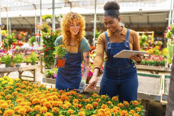 Two young women working in a greenhouse, checking flowers and discussing using a digital tablet