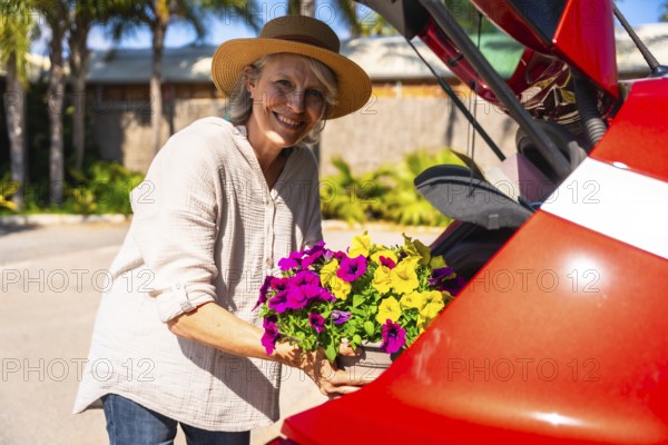 Happy senior woman putting colorful petunia flowers into red car trunk, enjoying gardening on sunny day