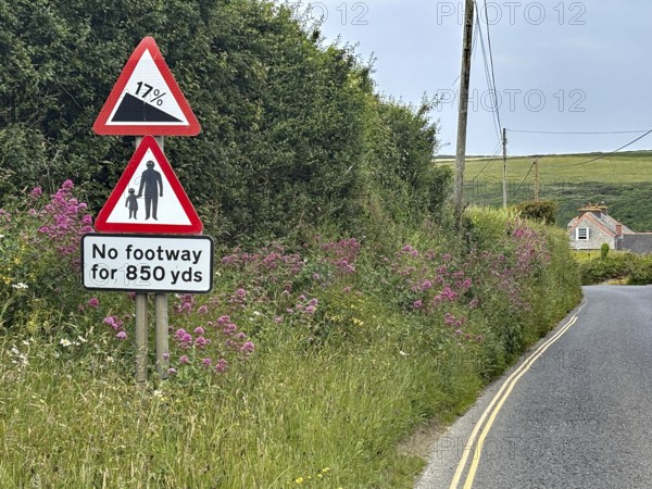 Country road with road signs surrounded by green hedge and flowers, Cornwall, England, Great Britain