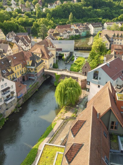 Historic town with a river under a bridge and many old buildings, Calw, Black Forest, Germany
